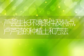 芦荟生长环境条件及特点