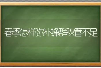 春季怎样弥补蜂群秋管不足