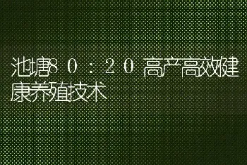 池塘80:20高产高效健康养殖技术