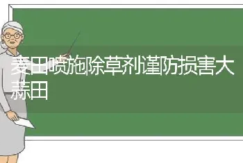 麦田喷施除草剂谨防损害大蒜田