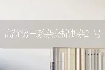 高优势三系杂交棉浙杂2号