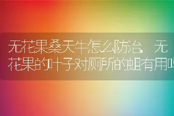 无花果桑天牛怎么防治