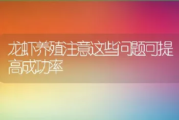 龙虾养殖注意这些问题可提高成功率