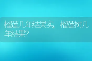 榴莲几年结果实