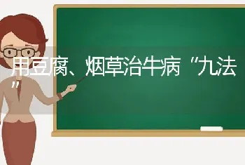 用豆腐、烟草治牛病“九法”