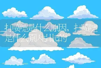 打喷嚏是什么原因