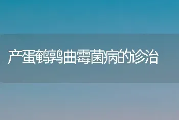 产蛋鹌鹑曲霉菌病的诊治