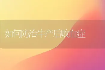 如何防治牛产后败血症