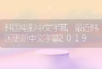 韩国电影中文字幕,最近韩国更新中文字幕2019