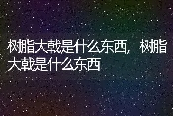 狗的特点是什么,哈士奇狗的特点是什么