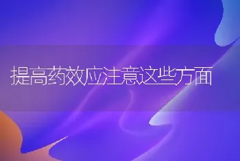 提高药效应注意这些方面