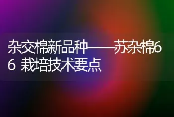 杂交棉新品种——苏杂棉66栽培技术要点