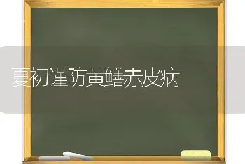 夏初谨防黄鳝赤皮病