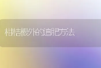 柑桔根外的追肥方法