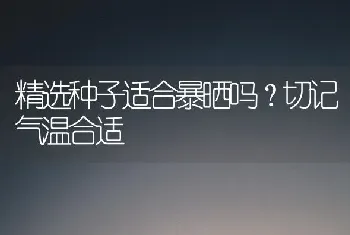 精选种子适合暴晒吗?切记气温合适