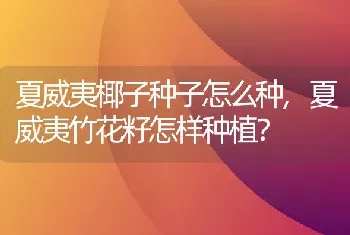 夏威夷椰子种子怎么种