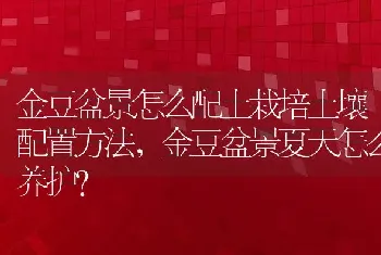 金豆盆景怎么配土栽培土壤配置方法