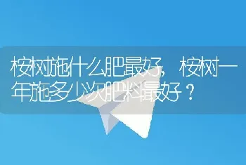 桉树施什么肥最好