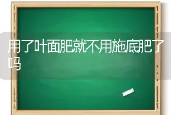 用了叶面肥就不用施底肥了吗