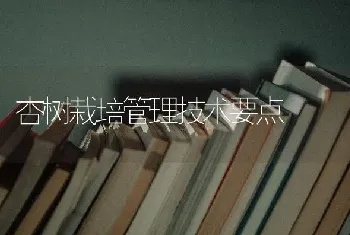 杏树栽培管理技术要点