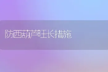 防西葫芦旺长措施