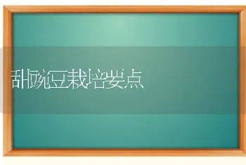 甜豌豆栽培要点