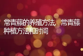 草莓的生长环境及特点适合生长地方的条件