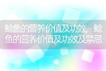 鲶鱼的营养价值及功效,鲶鱼的营养价值及功效及禁忌