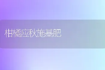 柑橘应秋施基肥