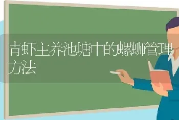 青虾主养池塘中的螺蛳管理方法