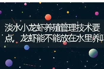 淡水小龙虾养殖管理技术要点