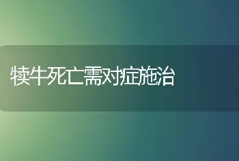 犊牛死亡需对症施治