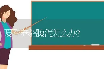 夏季养貂腹泻怎么办?