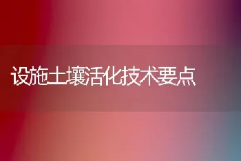 设施土壤活化技术要点