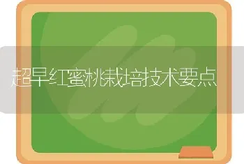 超早红蜜桃栽培技术要点