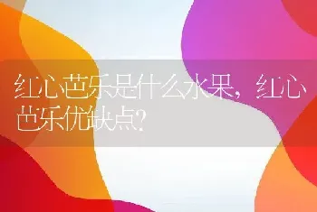 红心芭乐是什么水果