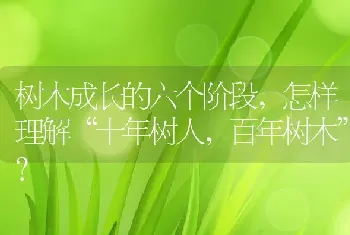 树木成长的六个阶段