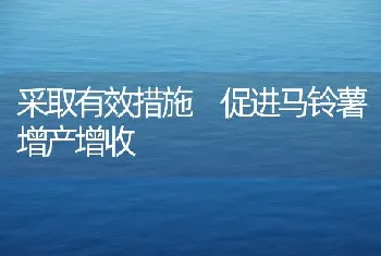 丝瓜高产管理二法