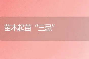 苗木起苗“三忌”