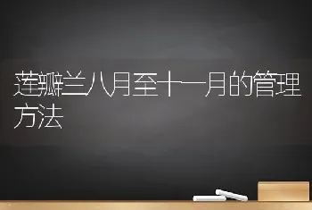 莲瓣兰八月至十一月的管理方法