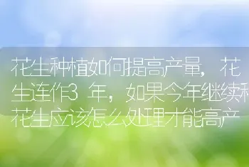 花生种植如何提高产量