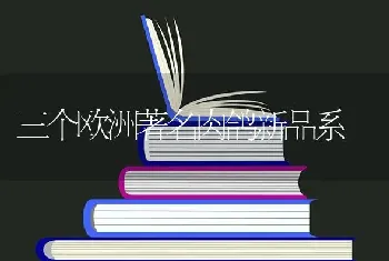 三个欧洲著名肉鸽新品系