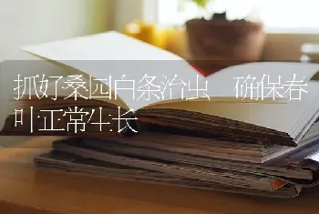 抓好桑园白条治虫　确保春叶正常生长