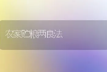 农家贮粮两良法