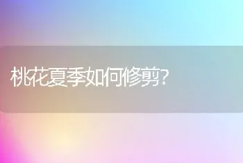 桃花夏季如何修剪?