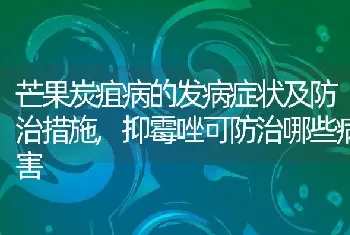 芒果炭疽病的发病症状及防治措施