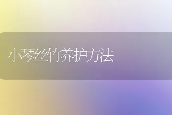 小琴丝竹养护方法