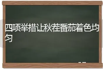 四项举措让秋茬番茄着色均匀