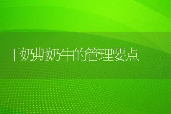 干奶期奶牛的管理要点