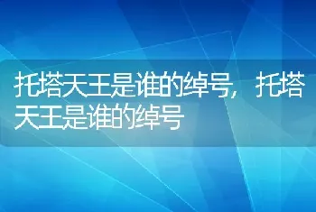 托塔天王是谁的绰号